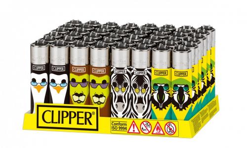 CP11RH D48 Have Fun 3