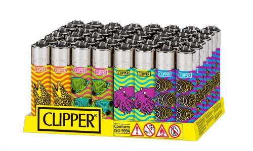 CP11RH D48 Tropical Summer 2