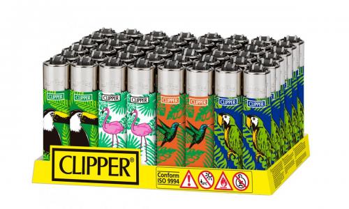 CP11RH D48 Tropical Summer 4