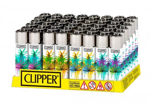 CP22RH D48 Leaves 28  AB (2)